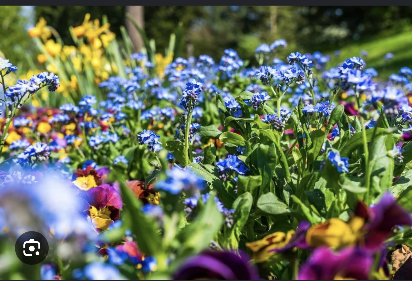 Benefits of beautiful landscaping in Viera, Florida