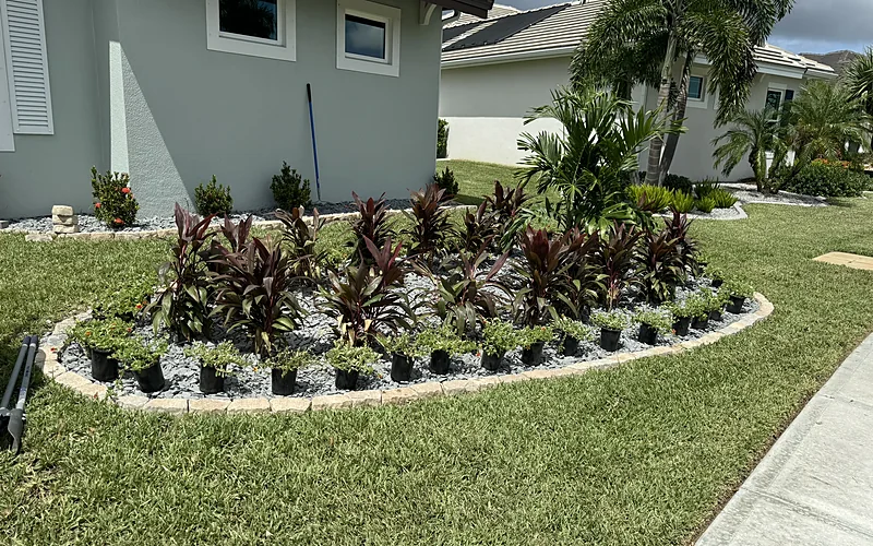Hedge and Tree Trimming in Viera