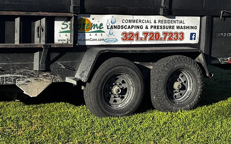 Storm and Hurricane Cleanup in Viera