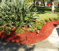 Mulch Installation